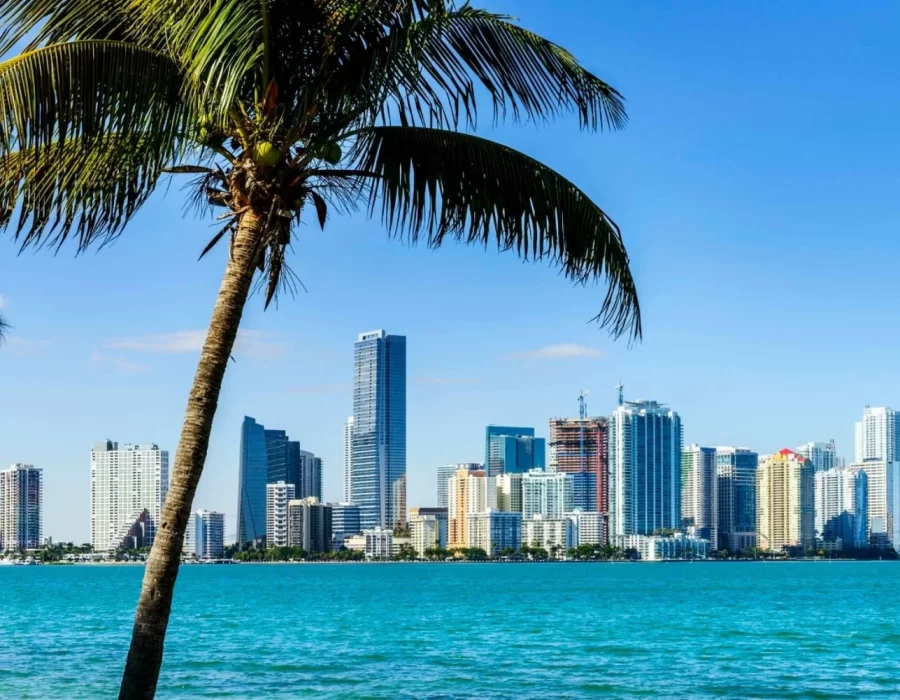 miami-guided-city-tour-and-boat-ride-1154162